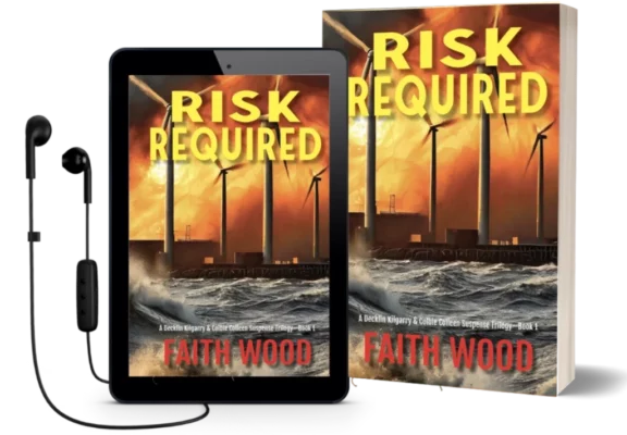 Book 1 - Risk Required