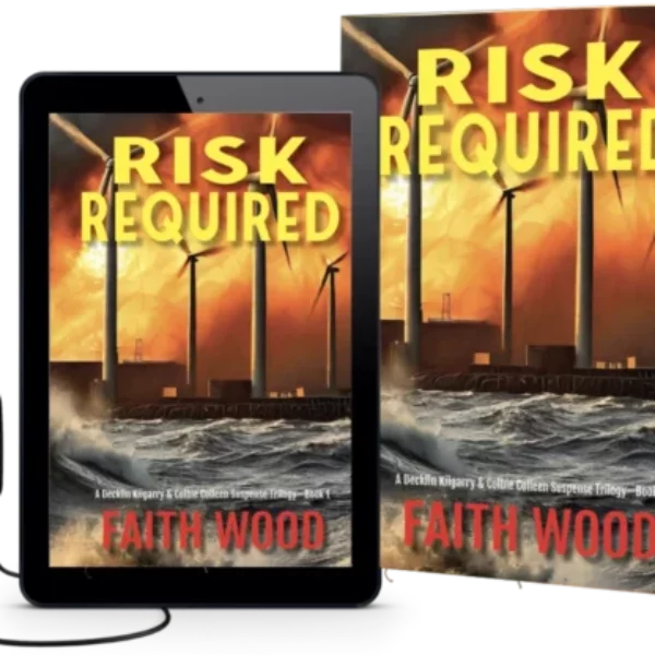 Book 1 - Risk Required